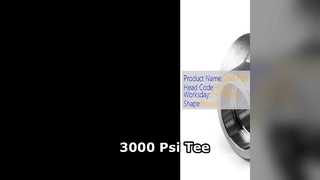 سه راهی کاهنده فشار قوی 3000 Psi صنعتی