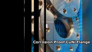 استفاده شیمیایی فلنج CuNi 70/30