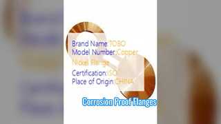 عینک فلنج مس نیکل 90/10 فورج شده