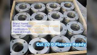 Cui 70 0 SW Flange Forged ASME B6 Cl 0 Ready