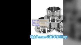 اتصالات فلنج لبه اتصال فولاد کربنی 3000 PSI