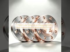 محلول دریایی فشار بالا فلنج گردن جوش C70600 CuNi