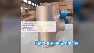 سه راهی کاهش دهنده چدن داکتیل UL FM Listed 300PSI Pipe Fitting