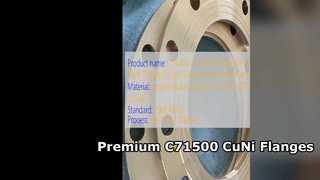 C71500 CuNi 70 30 فلنج گردن جوش با کیفیت فورج عالی
